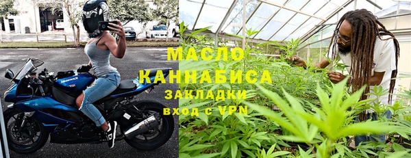 крисы Новозыбков