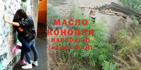 крисы Новозыбков