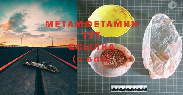 крисы Новозыбков