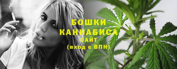 крисы Новозыбков